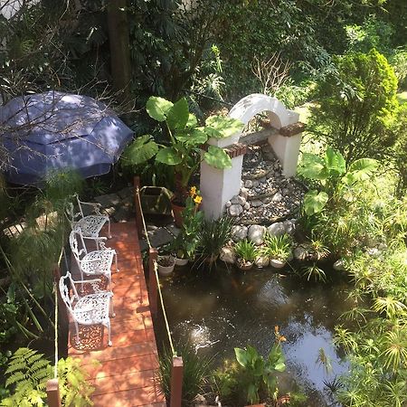 Villas Sol Y Luna Coyoacan Kota Meksiko Bagian luar foto