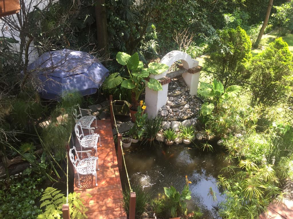 Villas Sol Y Luna Coyoacan Kota Meksiko Bagian luar foto